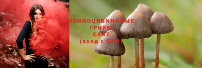 Псилоцибиновые грибы Magic Shrooms Анжеро-Судженск